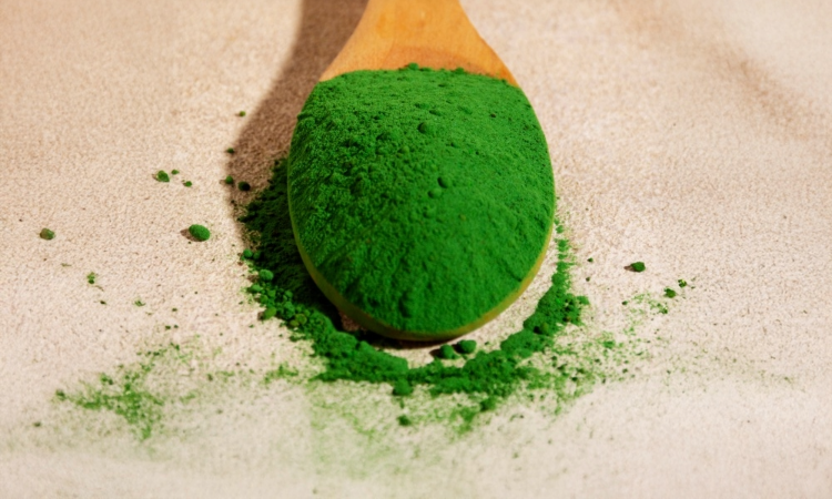 Nahaufnahme von intensiv grünem Matcha Pulver auf einem Holzlöffel für die Zubereitung von traditionellem japanischen Tee