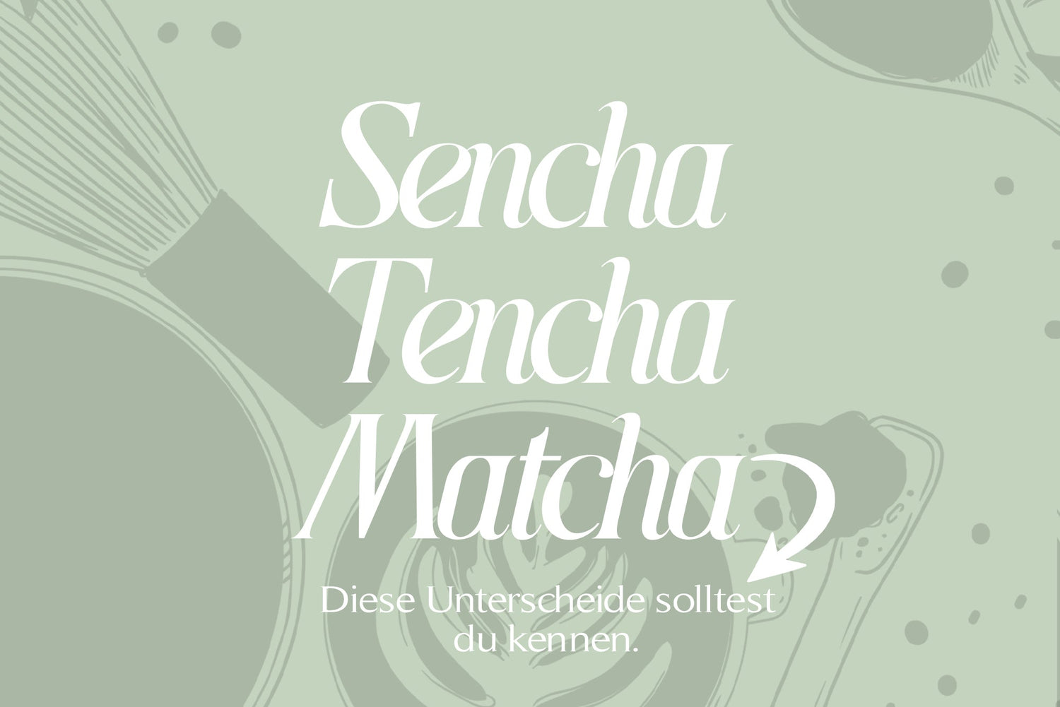 Sencha, Tencha, Matcha? Diese Unterschiede solltest du kennen!