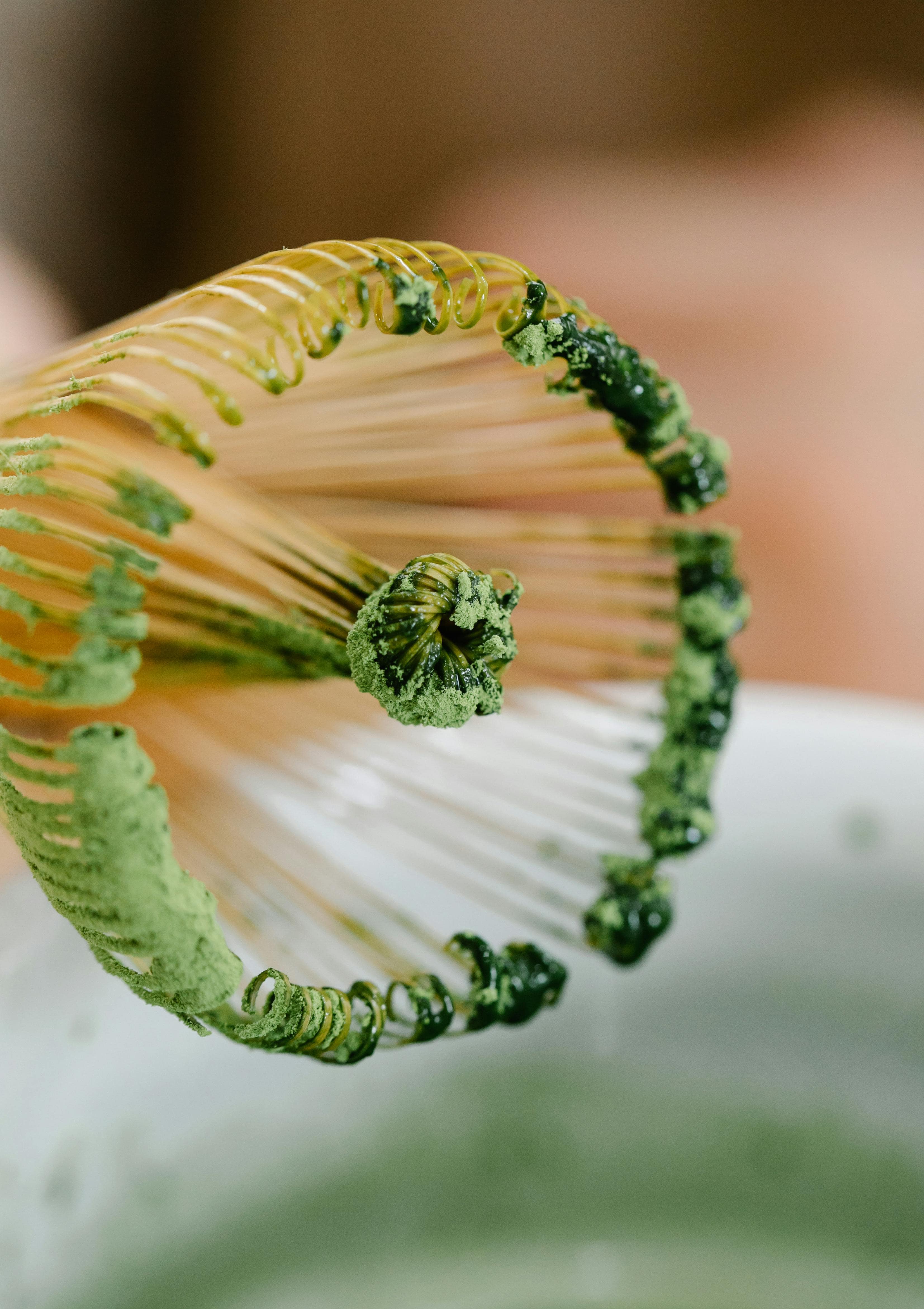 Guten Matcha kaufen: Worauf du wirklich achten musst