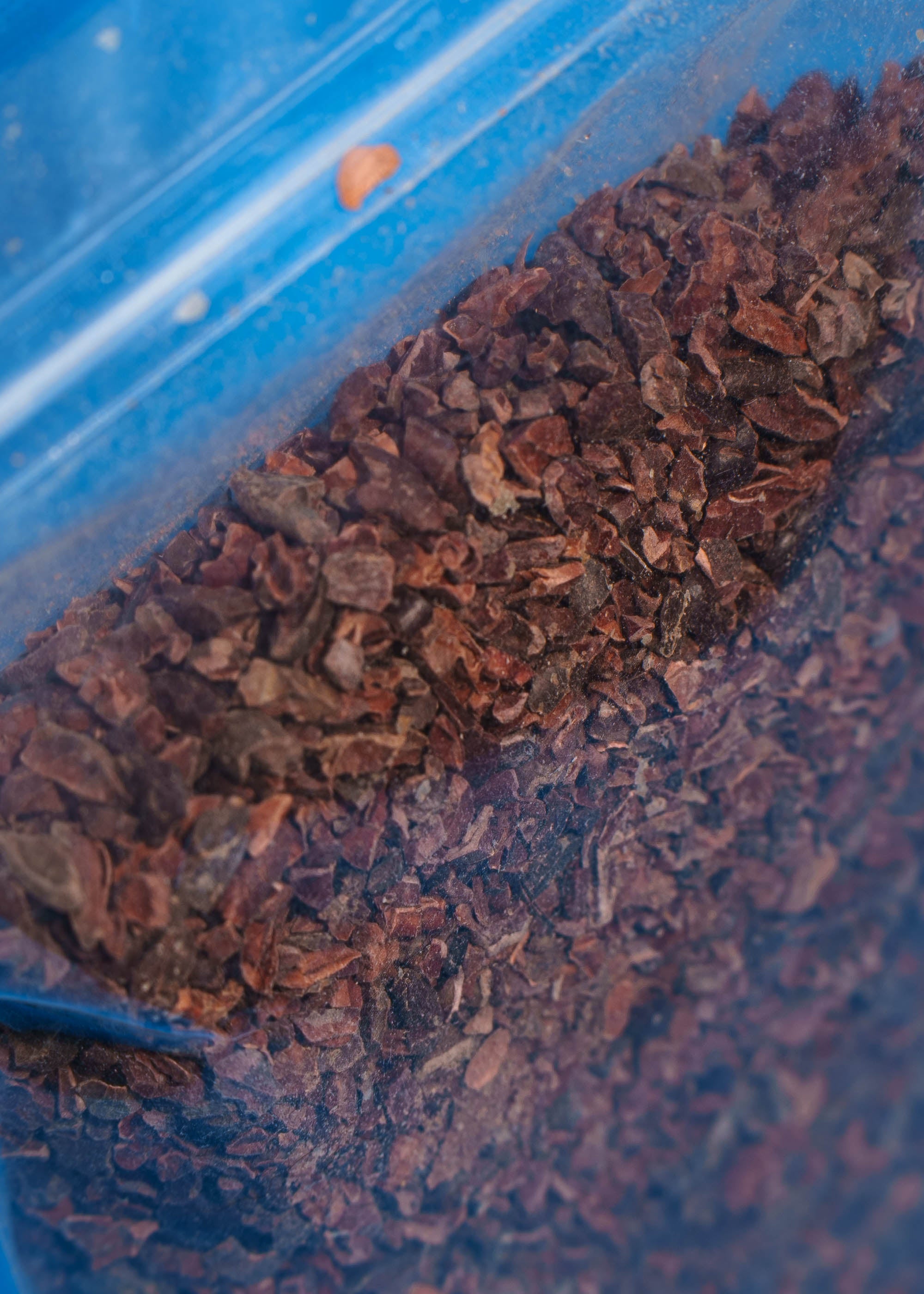 Detailaufnahme der Textur von gerösteten, dunklen Bio Kakaonibs ohne Zuckerzusatz.